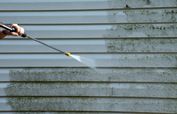 Spring Cleaning in Tanaina, AK